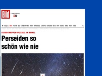 Bild zum Artikel: Spektakel am Himmel - Perseiden-Schwarm so schön wie noch nie