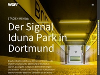 Bild zum Artikel: Stadion Multimedia-Reportage: Der Signal Iduna Park in Dortmund