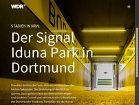Bild zum Artikel: Stadion Multimedia-Reportage: Der Signal Iduna Park in Dortmund