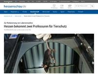 Bild zum Artikel: Hessen bekommt zwei Professuren für Tierschutz