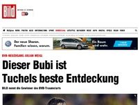 Bild zum Artikel: Julian Weigl - BVB-Bubi ist Tuchels beste Entdeckung