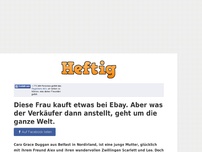 Bild zum Artikel: Diese Frau kauft etwas bei Ebay. Aber was der Verkäufer dann anstellt, geht um die ganze Welt.