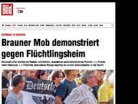 Bild zum Artikel: Heidenau/Sachsen - Brauner Mob demonstriert gegen Flüchtlinge