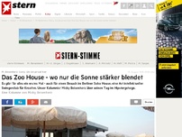 Bild zum Artikel: Das Zoo House - wo nur die Sonne stärker blendet