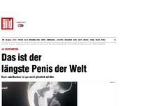 Bild zum Artikel: 48 Zentimeter - Das ist der längste Penis der Welt 
