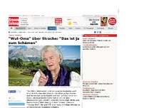 Bild zum Artikel: 'Wut-Oma' über Strache: 'Das ist ja zum Schämen'