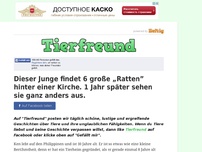 Bild zum Artikel: Dieser Junge findet 6 große „Ratten” hinter einer Kirche. 1 Jahr später sehen sie ganz anders aus.