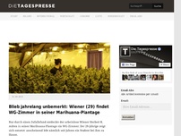 Bild zum Artikel: Blieb jahrelang unbemerkt: Wiener (29) findet WG-Zimmer in seiner Marihuana-Plantage