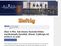 Bild zum Artikel: Über 4 Mio. hat dieses Youtube-Video Lachkrämpfe bereitet. Dieser 3-Jährige ist einfach zu süß!