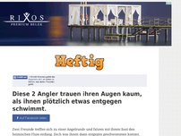 Bild zum Artikel: Diese 2 Angler trauen ihren Augen kaum, als ihnen plötzlich etwas entgegen schwimmt.