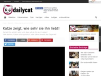 Bild zum Artikel: Katze zeigt, wie sehr sie ihn liebt!