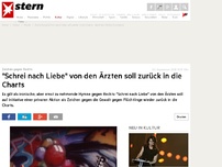 Bild zum Artikel: 'Aktion Arschloch': 'Schrei nach Liebe' von den Ärzten soll zurück in die Charts