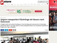 Bild zum Artikel: +++ Newsticker Flüchtlingskrise +++: Hunderte Flüchtlinge starten Fußmarsch von Budapest nach Westen