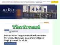 Bild zum Artikel: Dieser Mann folgt einem Hund zu einem Versteck. Doch was da auf dem Boden liegt, glaubst du nicht.