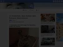 Bild zum Artikel: 12 Anzeichen, dass Katzen dein Zuhause übernehmen