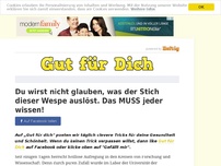 Bild zum Artikel: Du wirst nicht glauben, was der Stich dieser Wespe auslöst. Das MUSS jeder wissen!