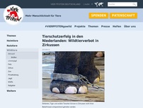 Bild zum Artikel: Tierschutzerfolg in den Niederlanden: Wildtierverbot in Zirkussen