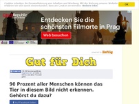 Bild zum Artikel: 90 Prozent aller Menschen können das Tier in diesem Bild nicht erkennen. Gehörst du dazu?