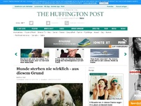 Bild zum Artikel: Hunde sterben nie wirklich - aus diesem Grund