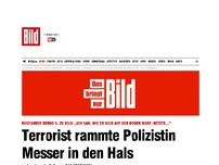 Bild zum Artikel: Das Protokoll - Terrorist attackiert Polizistin