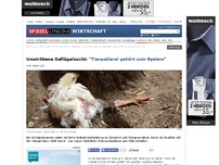 Bild zum Artikel: Umstrittene Geflügelzucht: 'Tierquälerei gehört zum System'