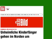 Bild zum Artikel: Katzen-Trick - Kinderfänger gehen im Norden um