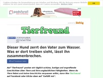 Bild zum Artikel: Dieser Hund zerrt den Vater zum Wasser. Was er dort treiben sieht, lässt ihn zusammenbrechen.