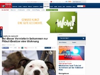 Bild zum Artikel: Kampfhunde erwünscht! - Bei dieser Vermieterin bekommen nur Pitbull-Besitzer eine Wohnung