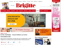 Bild zum Artikel: Echte Tierliebe - Gassi-Gehen auf eine besondere Art