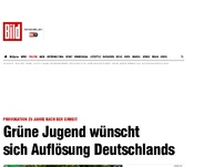 Bild zum Artikel: 25 Jahre nach der Einheit - Grüne Jugend wünscht Auflösung Deutschlands