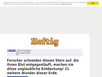 Bild zum Artikel: Forscher schneiden diesen Stein auf. Als ihnen Blut entgegenläuft, machen sie diese unglaubliche...