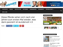 Bild zum Artikel: Diese Pferde sehen sich nach vier Jahren zum ersten Mal wieder, was dann passiert ist wundervoll