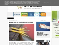 Bild zum Artikel: Blindes Huhn an Unterernährung verendet
