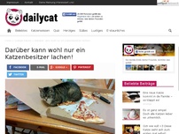 Bild zum Artikel: Darüber kann wohl nur ein Katzenbesitzer lachen!