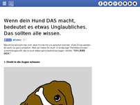 Bild zum Artikel: Wenn dein Hund DAS macht, bedeutet es etwas Unglaubliches. Das sollten alle wissen.