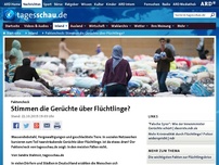 Bild zum Artikel: Faktencheck: Stimmen die Gerüchte über Flüchtlinge?