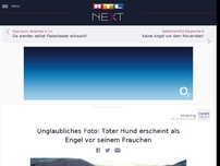 Bild zum Artikel: Unglaubliches Foto: Toter Hund erscheint als Engel vor seinem Frauchen