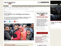 Bild zum Artikel: Es ist unklug, so viele Flüchtlinge aufzunehmen