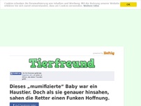 Bild zum Artikel: Dieses „mumifizierte“ Baby war ein Haustier. Doch als sie genauer hinsahen, sahen die Retter...