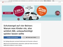 Bild zum Artikel: Warum man Kinder und Hunde nie, also wirklich NIE, unbeaufsichtigt spielen lassen sollte!