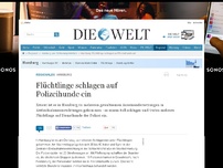 Bild zum Artikel: Hamburg: Flüchtlinge schlagen auf Polizeihunde ein