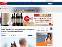 Bild zum Artikel: Straßenkämpfe in Hamburg - Unter Beifall: Flüchtlinge stellen sich Polizei in Angriffs-Stellung entgegen