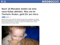 Bild zum Artikel: Nach 18 Monaten wollen sie eine neue Katze abholen. Was sie im Tierheim finden, geht Dir ans Herz.