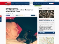 Bild zum Artikel: Haustier wird zum Lebensretter - Hund Geo bewahrt seinen Besitzer vor einem fatalen Fehler