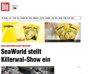 Bild zum Artikel: Nach Protesten - SeaWorld stellt Killerwal-Show ein