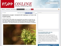 Bild zum Artikel: Medikamente versagten, Cannabisöl half: Dreijähriger von Krebs in der Endstufe geheilt (Natürliches Heilen)