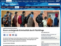 Bild zum Artikel: BKA: Kaum ansteigende Kriminalität durch Flüchtlinge