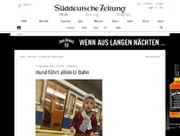 Bild zum Artikel: Schwabing: Hund fährt allein U-Bahn