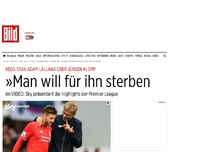 Bild zum Artikel: Lallana über Klopp - »Man will für ihn sterben