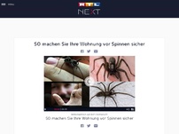 Bild zum Artikel: SO machen Sie Ihre Wohnung vor Spinnen sicher
